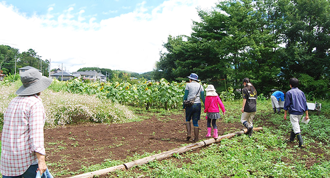 富士見高校養蜂部 夏の収穫＆人形作り＆アイス作り 開催レポート（2015.8.18開催）