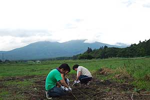 有機農業の体験チーム