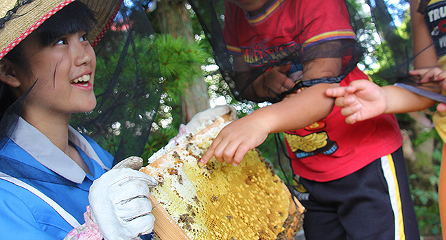 ハチミツ収穫祭、開催