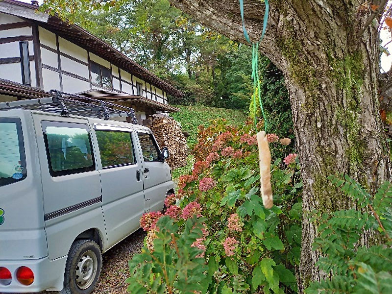 「蜂追い」の実態に迫る！！！