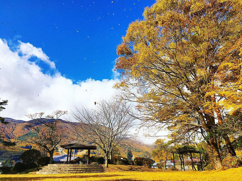 富士見町の紅葉を見逃すな！