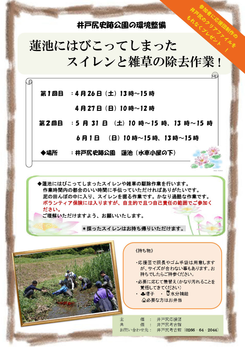 井戸尻史跡公園 スイレンと雑草の除去作業