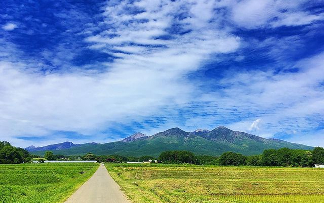 今週のピックアップ（2021.8.30～）