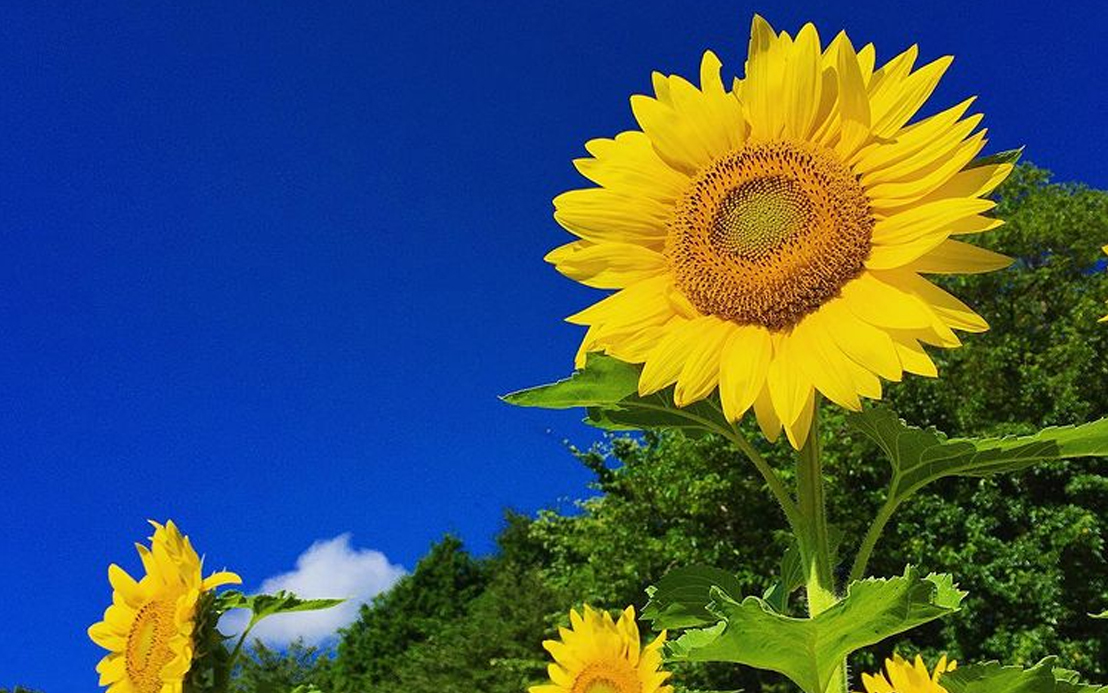 今週のピックアップ（2021.9.6～）