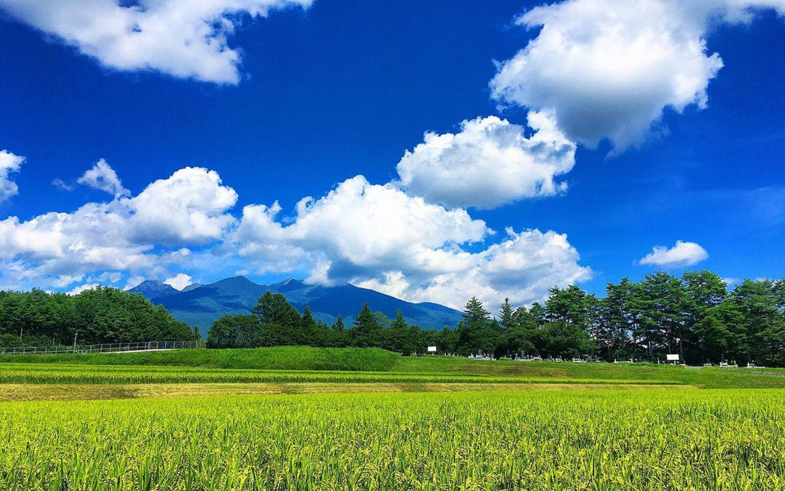 今週のピックアップ（2021.9.20～）