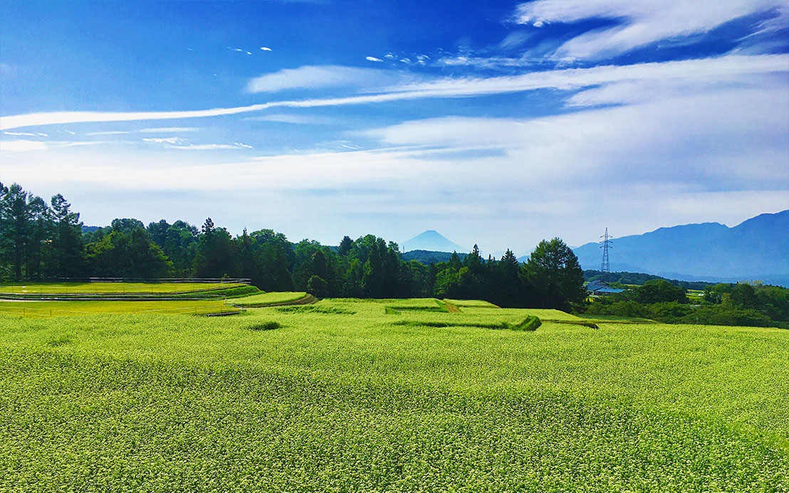 今週のピックアップ（2021.9.27～）