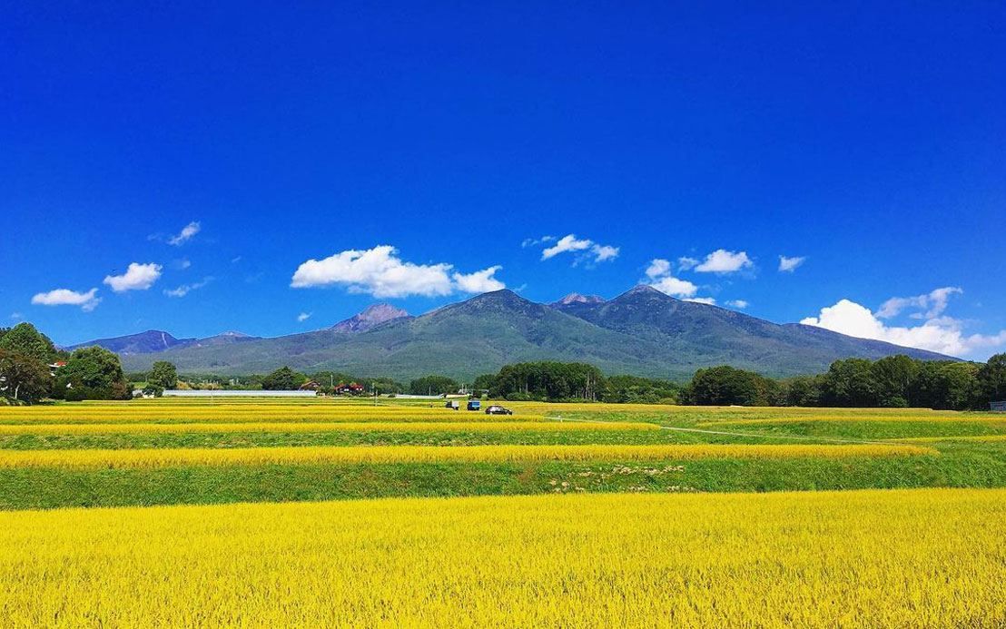 今週のピックアップ（2021.10.4～）