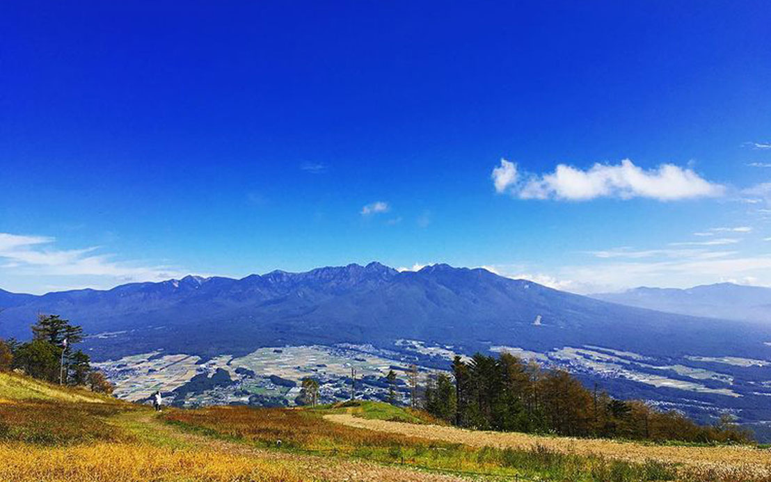 今週のピックアップ（2021.10.18～）