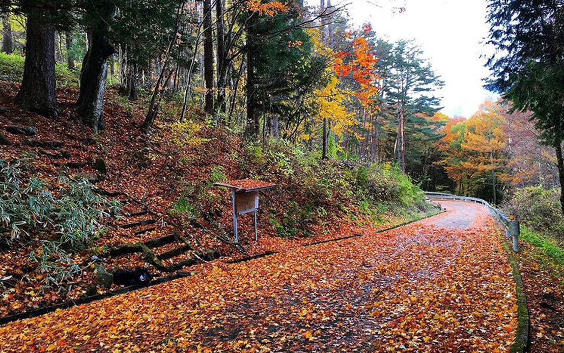 今週のピックアップ（2021.11.22～）