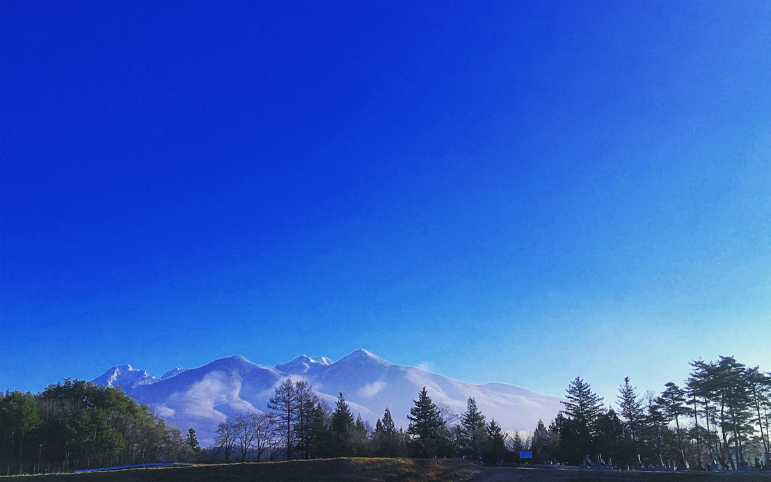 今週のピックアップ（2021.12.20～）