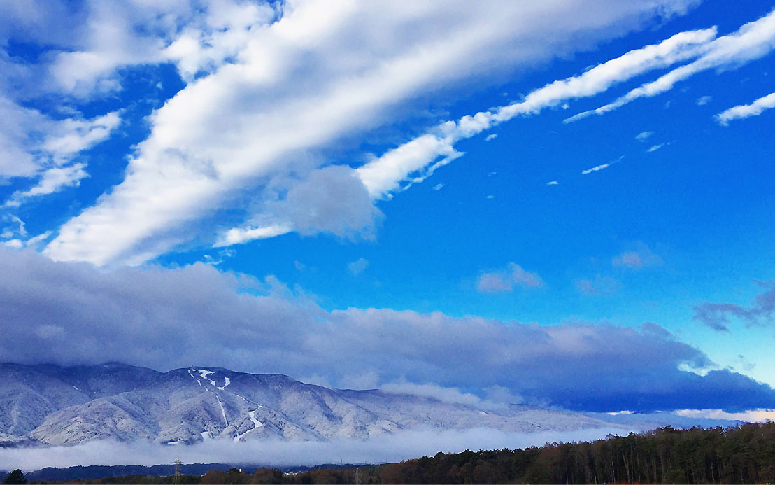 今週のピックアップ（2021.12.27～）